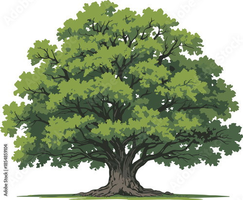 Realistic deciduous tree illustration, mature green foliage vector, nature design element, landscape clipart, botanical graphics, eco-friendly forest icon