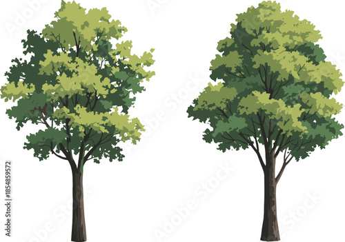 Stylized deciduous tree illustration pair, lush green foliage vector, nature design elements, landscape clipart, botanical graphics, eco-friendly artistic icons
