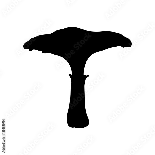 Black trumpet mushroom silhouette vector illustration edible fungus gourmet food ingredient foraging guide