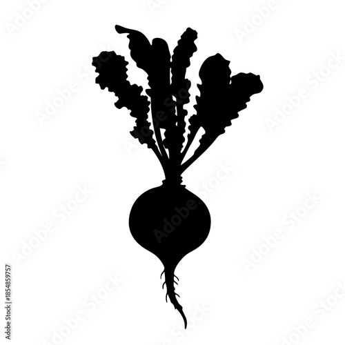 Black beet root vegetable silhouette illustration for healthy eating and vegan lifestyle concept design
