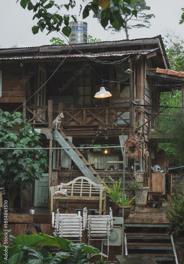 Obraz premium Rustic wooden cabin on a rainy day dog perched on stairs lush greenery inviting retreat