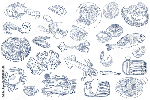 Hand drawn seafood set with fish and shellfish in vintage blue line art