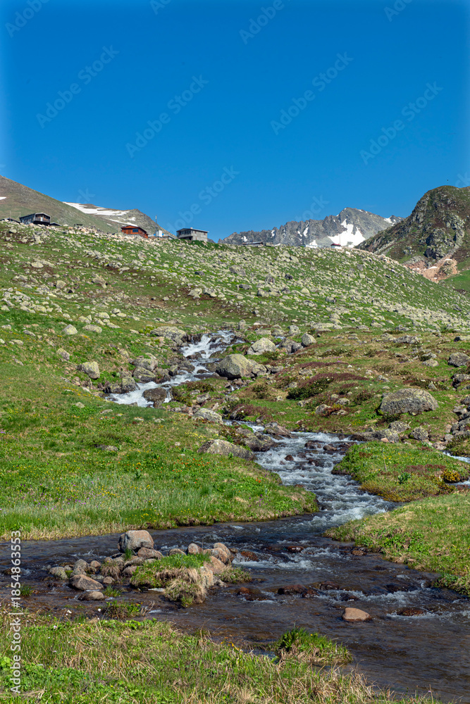 Fototapeta premium Magnificent views from Gölyayla in Rize during the spring months. Streams in the mountainous regions. Streams formed by the melting glaciers in the highlands. Livestock farming in the highlands. Color