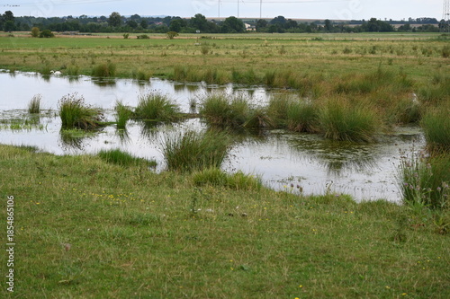 Auenprojekt Niederwissen bei Ilbenstadt