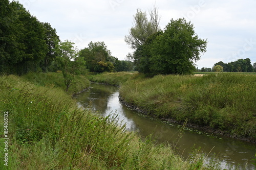 Nidda bei Ilbenstadt