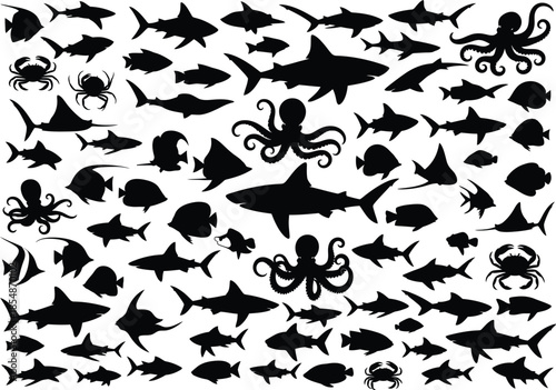 Collection of various sea creatures and fish in black silhouette on white background