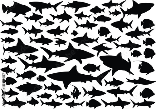 Collection of various shark species silhouettes on white background