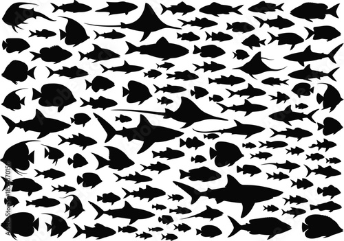 Black silhouette illustration of various shark species on white background