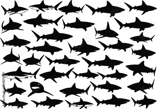 Many black silhouette sharks swimming in different directions on white background