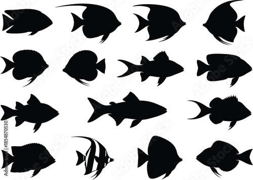 Collection of various fish silhouettes in different shapes and sizes on white background