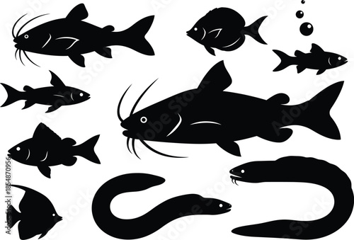 silhouettes of various fish and sea creatures on white background