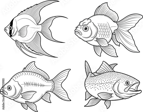 Illustration of four goldfish in different orientations