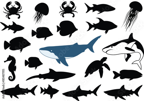 Canvas Print Collection of various ocean sea creatures silhouettes and one color fish