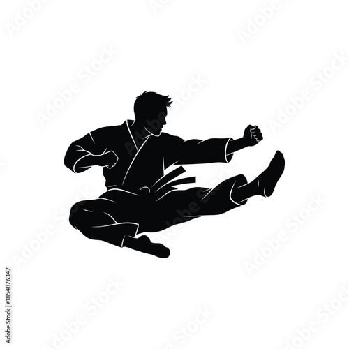 A dynamic martial arts pose captured in a striking black silhouette