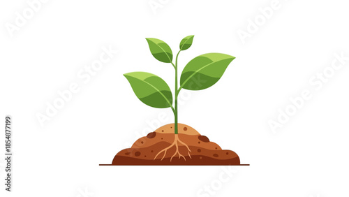 Vibrant green plant sprouting from rich soil with visible roots