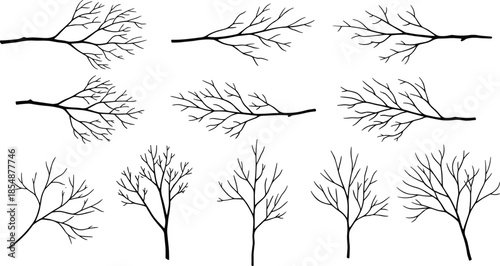 Set of Bare Tree Branches and Twigs Silhouettes Hand-Drawn Black Vector Graphic Elements for Nature, Winter, and Halloween Decoration Design.