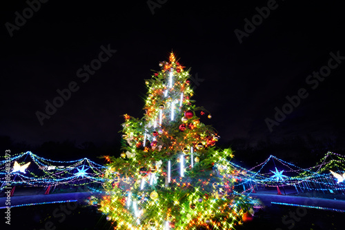 公園のクリスマスイルミネーション