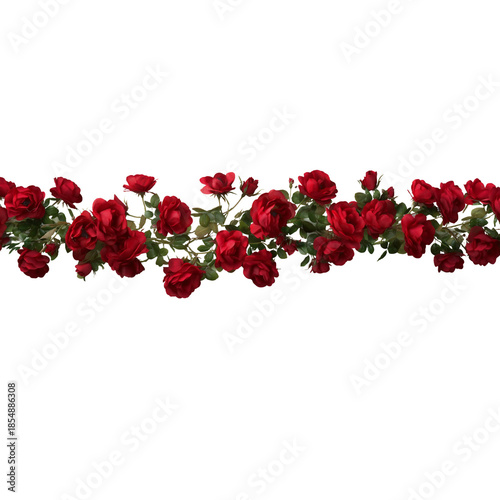 Red Rose Garland Border image isolated on a transparent background