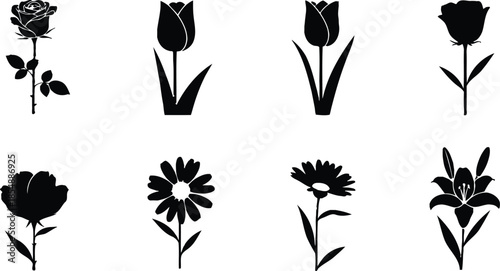 A set of eight black and white botanical illustrations of flowers