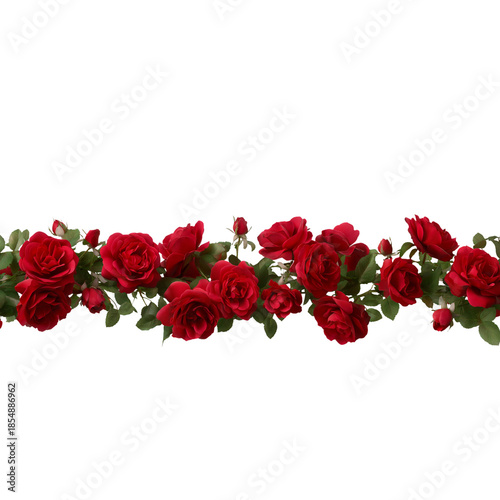 Red Rose Border image graphic isolated on a transparent background