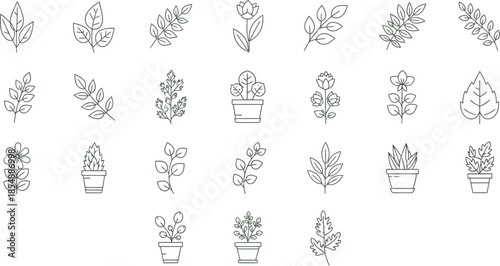 Collection of various botanical and architectural line drawings