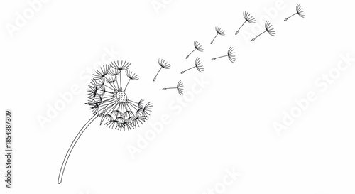 Dandelion seeds blowing in the wind