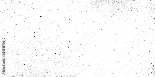 A grayscale image presenting a speckled grepsny texture with predominantly white and scattered black spots across the frame