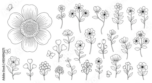 A large and delicate collection of various wildflowers and butterflies, all hand-drawn in a beautiful and detailed line art style.