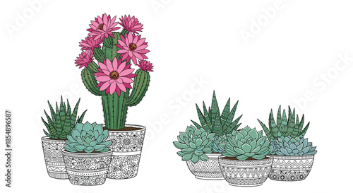 Two decorative arrangements of blooming cacti and various succulents planted in beautifully patterned bohemian-style pots for home decor.