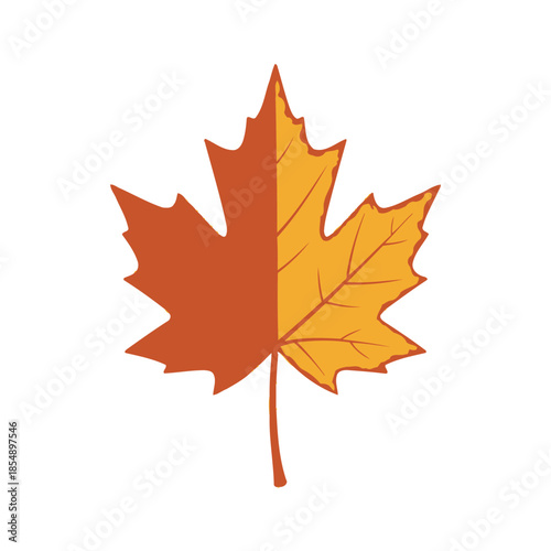 Vivid autumn maple leaf with contrasting warm orange and yellow hues highlighting natural leaf