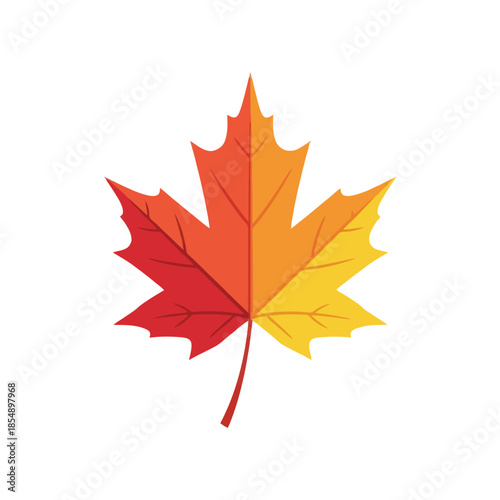 Vivid autumn maple leaf displaying a gradient of red orange and yellow hues captured in crisp