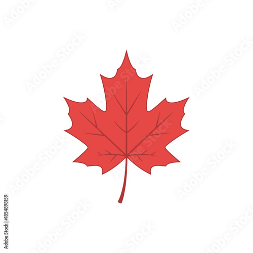 Vivid red maple leaf isolated on white background representing autumnal symbolism and nature's