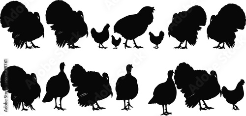 Black Silhouette Collection of Various Domestic Fowl Including Majestic Turkeys and Small Chickens, Isolated Livestock Grouping for Farming, Poultry, and Holiday Designs