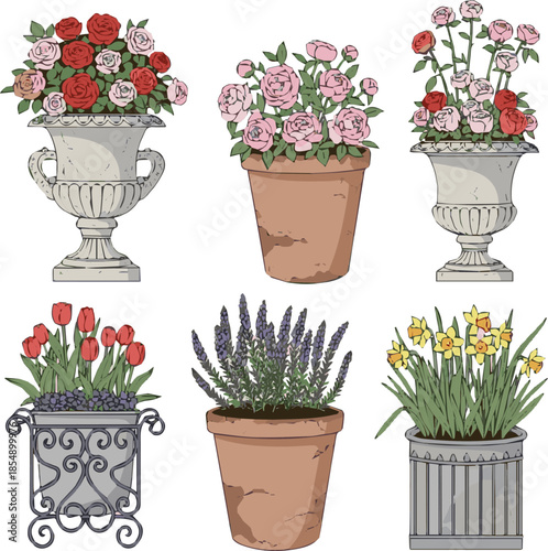  Create a kinds of deferent Composition of flowers in a classical outdoor planter vector art with white background..