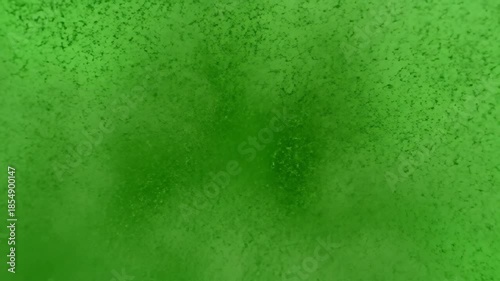 Green Screen Velvety Flock Fibers Dispersing by Wind Chroma Key