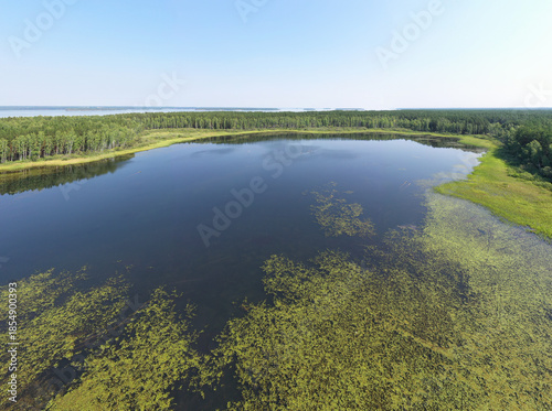 Aerial photo panorama of forest boggy lake in the Karakansky pine forest near the shore of the Ob reservoir.