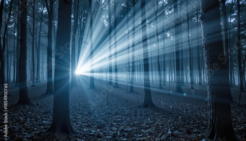 Eerie Forest Illuminated by a Flashlight Beam: Mystery and Adventure in a Dark Woodland, Emphasizing the Contrast of Light and Shadow in a Spooky Nature Scene