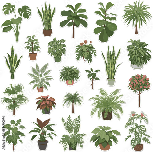 Create a kinds of deferent realistic VI Shopper cut out plants vector art with white background..