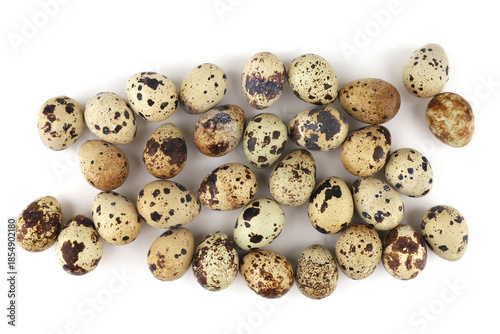 Quail eggs isolated on white background. Natural patterned farm quail eggs.