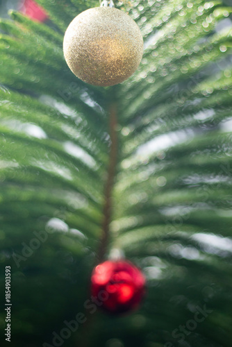 Christmas tree for decorating during the New Year festival