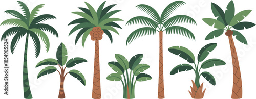 Set of tropical palm trees and banana plants isolated on white background