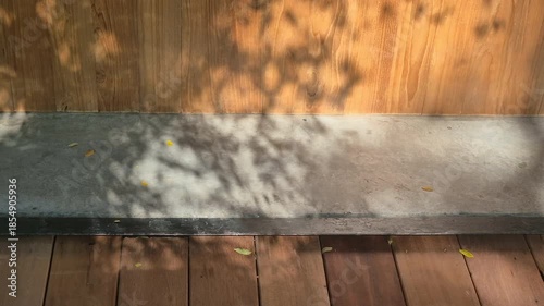 Soft sunlight tree natural shadow cast on architecture textures wood concrete peaceful background slowmotion