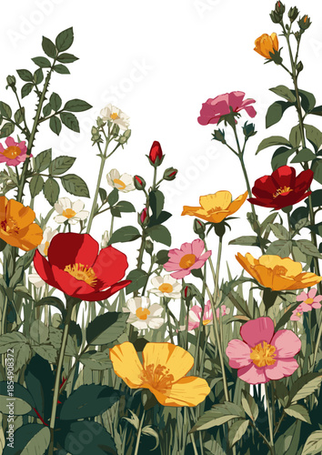 Create a realistic Flowerbed with different blooming plants and flowers vector art with white background .