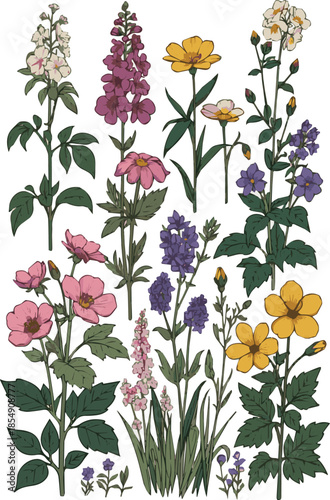 Create a realistic Flowerbed with different blooming plants and flowers vector art with white background .