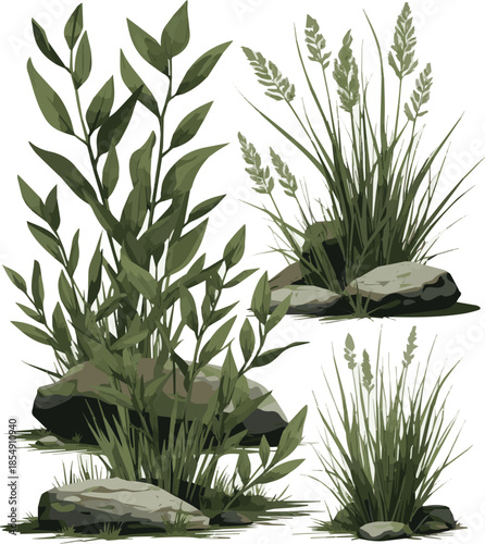 Create a realistic Tufts of ornamental grass with shadows vector art with white background.