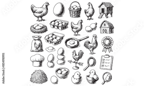 Poultry Farming Icons Set Chicken Egg Hen Rooster Coop Farm Vector Illustration