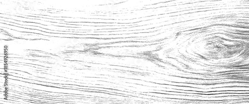 Vector white and black color old wooden plank with natural pattern for design