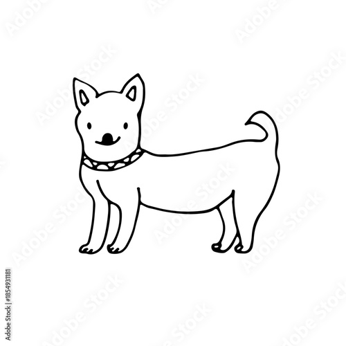Chihuahua, a small dog breed with large ears and expressive eyes. Doodle. Vector illustration. Hand drawn. Outline.