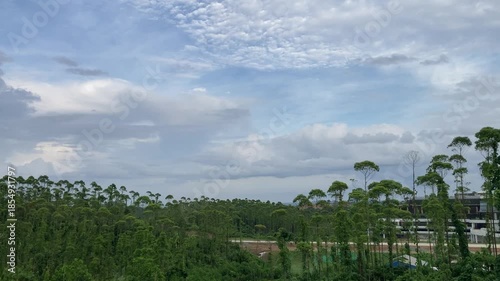 scenic tropical forest landscape under a vast cloudy blue sky