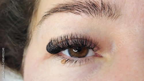 
Close up of female eye with eyelash extensions ,eyelash extension procedure.2d volume, 3d volume, classical lashes,Russian volume,mega volume, new set.
